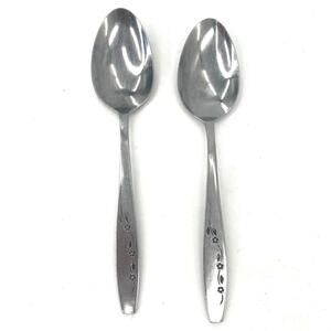 Northland Stainless Korea daisies 2 serving spoons  set